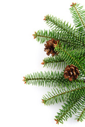 Similar image 870106