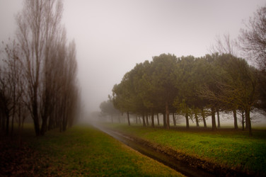 Similar image 870119