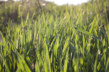 Similar image 870121