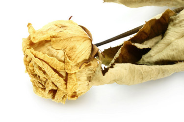 Similar image 870135