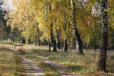 Similar image 870161