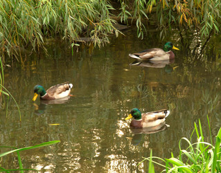 Similar image 870172