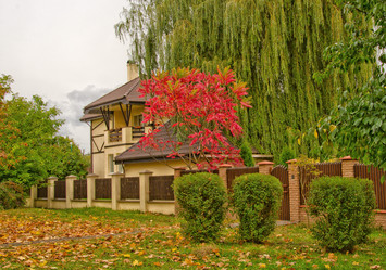 Similar image 870182