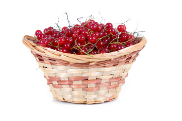 Similar image 870204