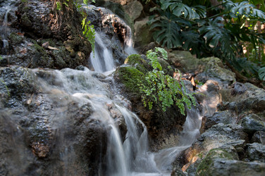 Similar image 870293