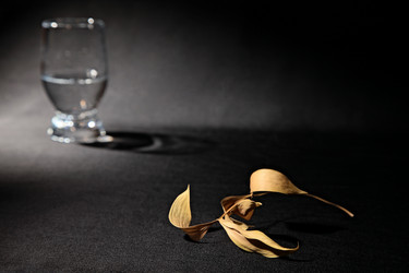 Similar image 870361