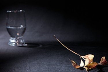 Similar image 870367