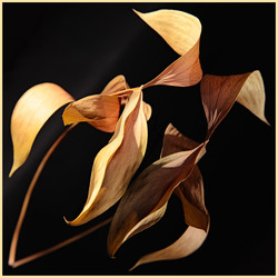 Similar image 870372