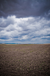 Similar image 870385