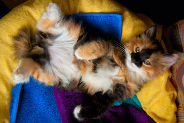 Similar image 870459