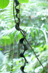 Similar image 870590