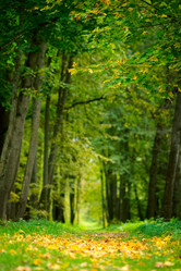 Similar image 870642