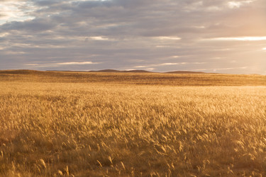 Similar image 870693