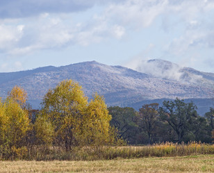 Similar image 870706