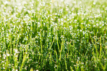 Similar image 870709