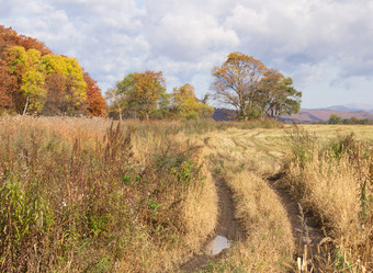 Similar image 870710