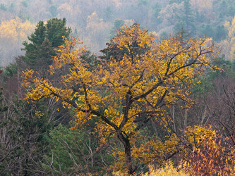 Similar image 870714