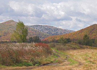 Similar image 870721