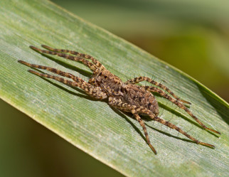 Similar image 870723