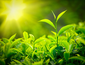 Similar image 870735