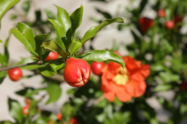 Similar image 870799