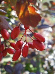 Similar image 870899