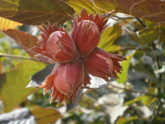 Similar image 870901