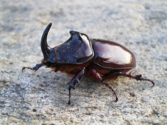 Similar image 870903