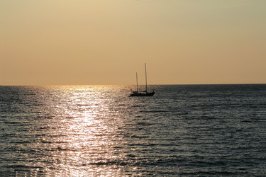 Similar image 871158