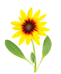 Similar image 871213