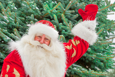 Similar image 871508