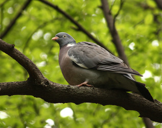 Similar image 871569