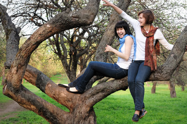 Similar image 871616