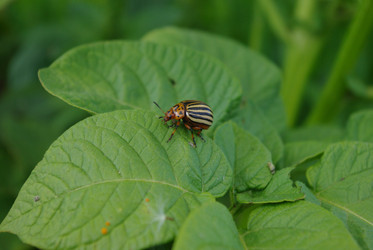 Similar image 871654