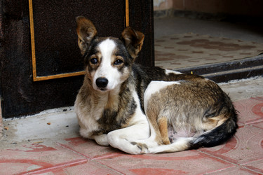 Similar image 871656