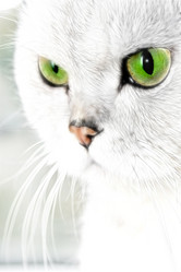 Similar image 871799