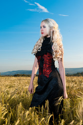 Similar image 871856