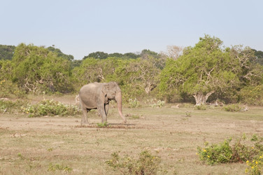 Similar image 871862