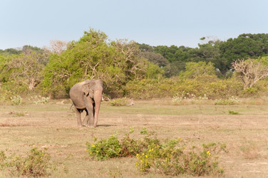 Similar image 871864