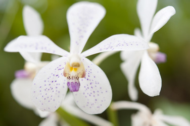 Similar image 871906