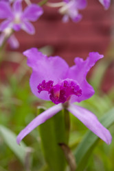 Similar image 871908