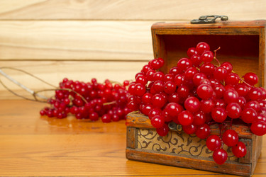 Similar image 871980