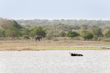 Similar image 871988