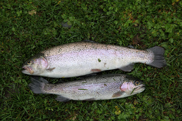 Similar image 872057