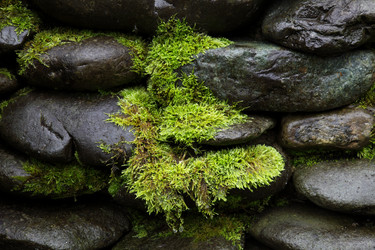 Similar image 872068