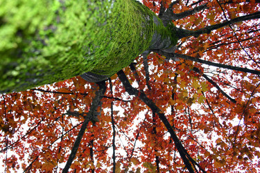 Similar image 872073