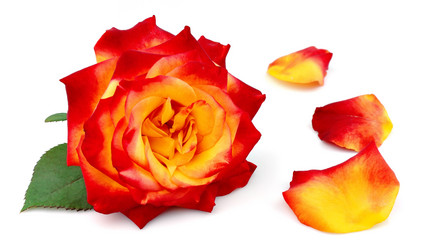 Similar image 872109