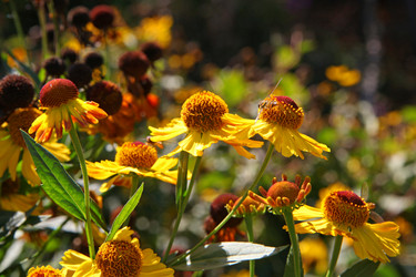 Similar image 872165