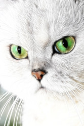 Similar image 872410