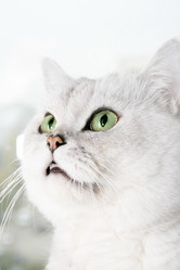 Similar image 872411